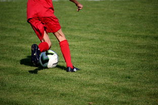 米兰app体育下载-中国篮球教练员职业发展规划及培训体系，篮球教练员职业生涯规划