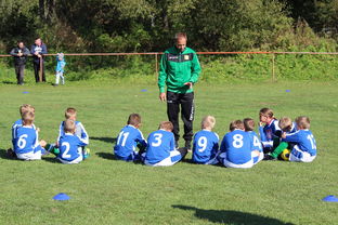 米兰体育网页版-中国篮球教练员战术创新能力培养机制，篮球训练教练简介